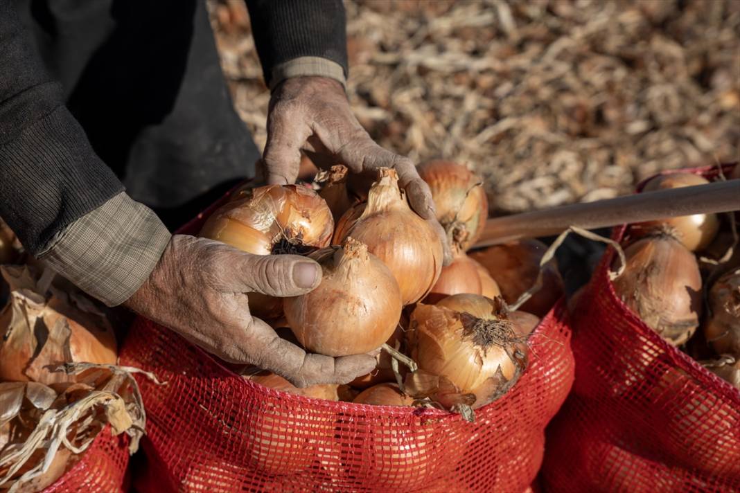 Konya Ovası’nda tablo gibi hasat 19